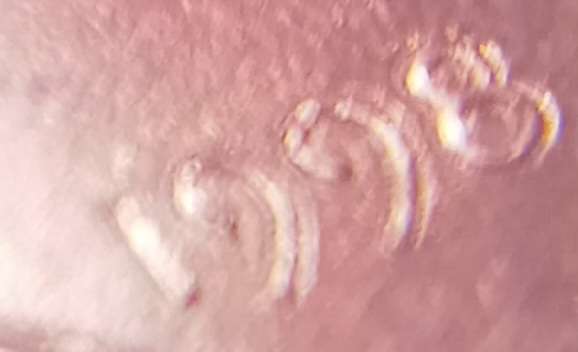 1998-P-1-Cent.-Is-It-A-New-DDO-Discovery?