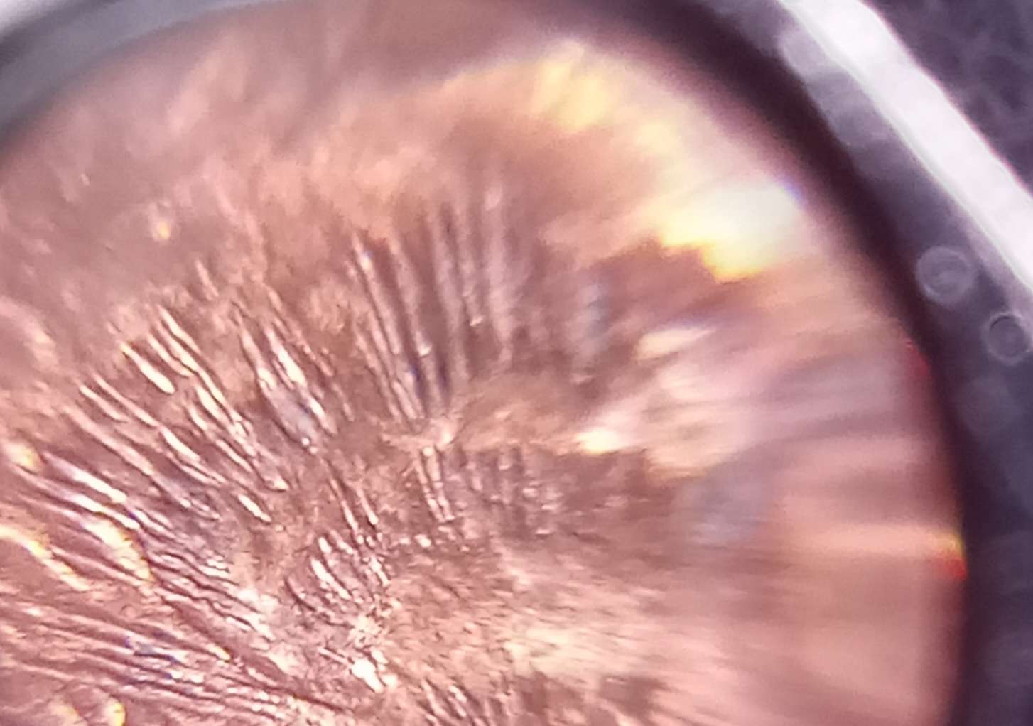 2003-D-1-Cent.-Is-This-Coin-Intentionaly-Damaged?