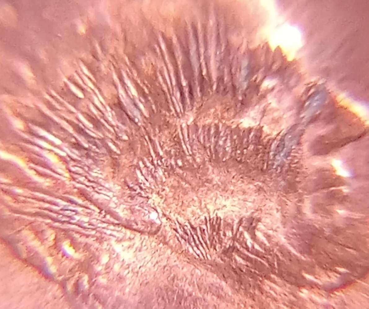 2003-D-1-Cent.-Is-This-Coin-Intentionaly-Damaged?