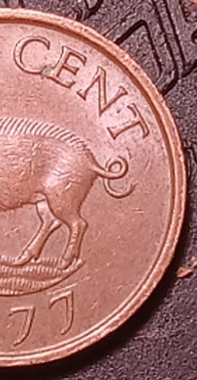 Name-That-Coin.--Daily-Coin-Snippet.