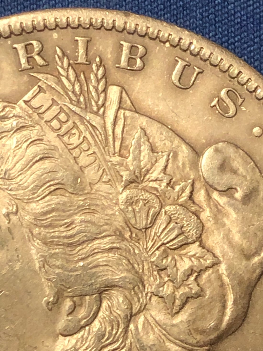 1885-O-Morgan.-Need-Help-Grading-This-One.