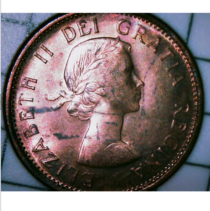 Just-Wondering-What-These-Would-Grade?