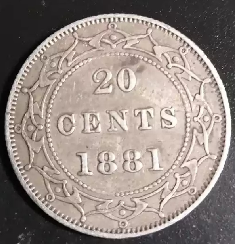 1881-Newfoundland-20-Cent.-Planchet-Flaw?