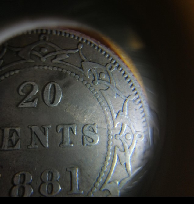 1881-Newfoundland-20-Cent.-Planchet-Flaw?