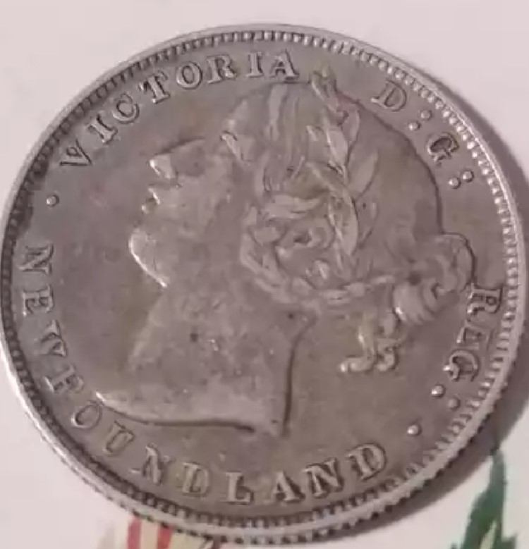 1881-Newfoundland-20-Cent.-Planchet-Flaw?