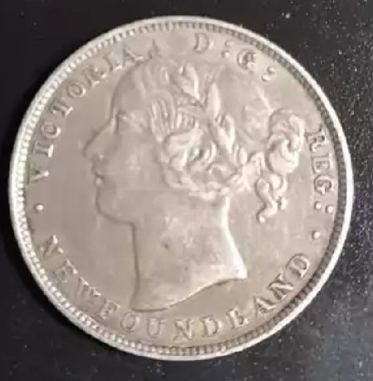 1881-Newfoundland-20-Cent.-Planchet-Flaw?