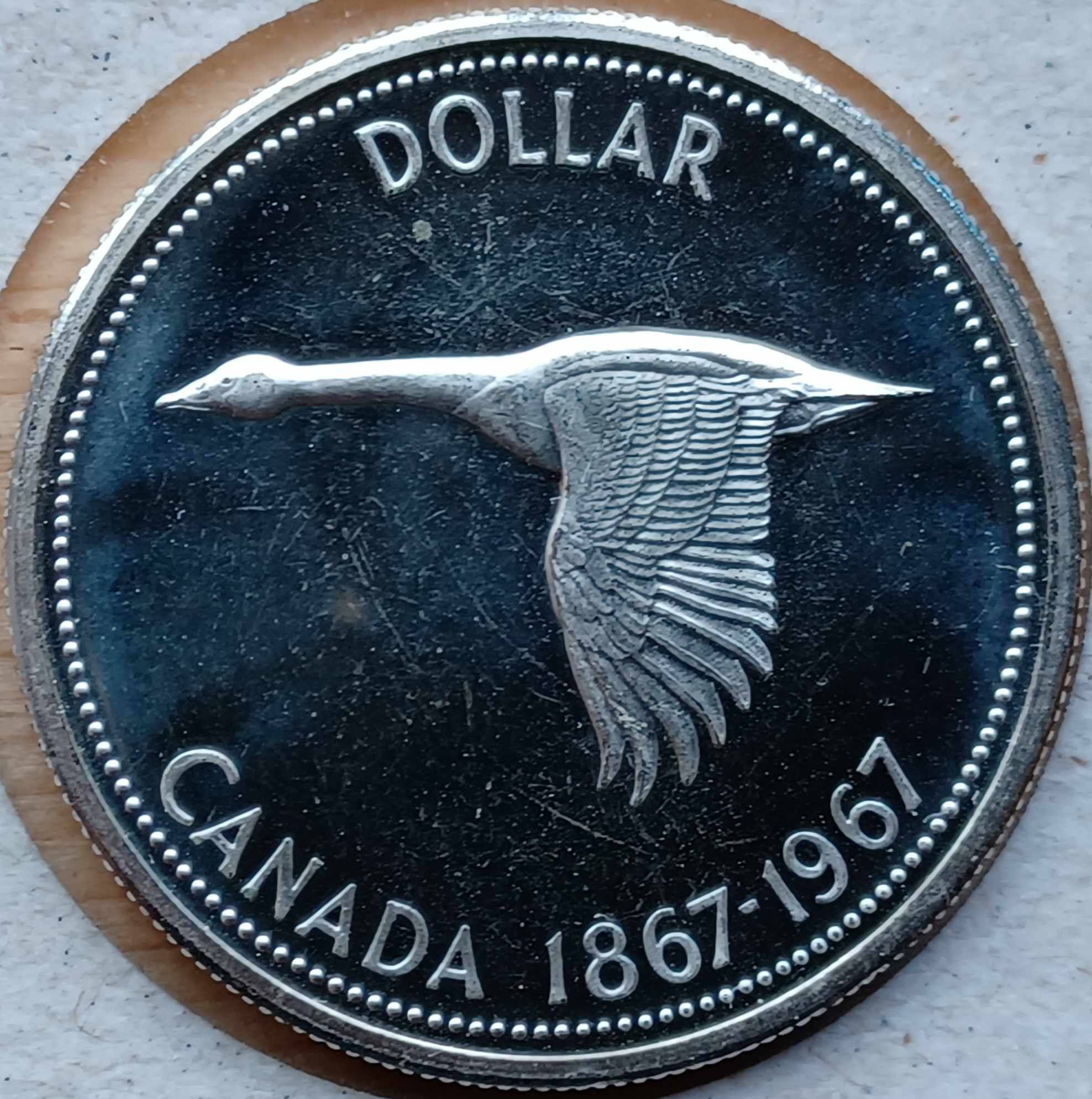 1967-Specimen-Dollar-Grade?
