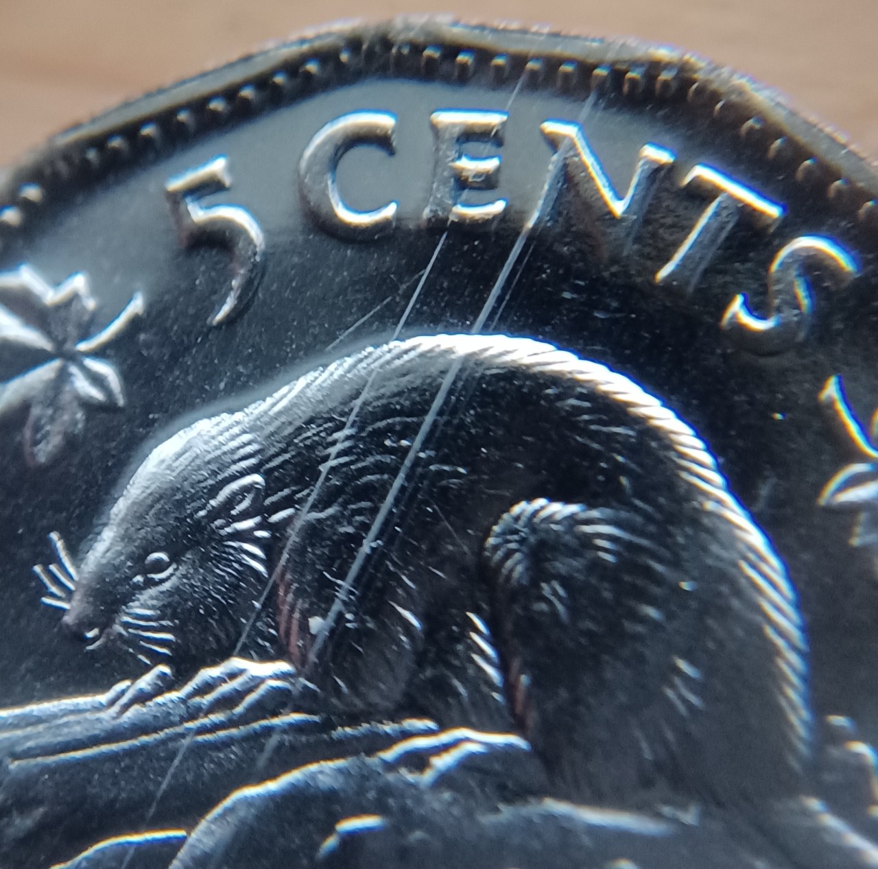 1954-Proof-Like-Nickel-That-Been-Through-A-Bit.