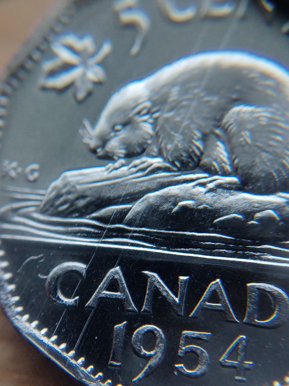 1954-Proof-Like-Nickel-That-Been-Through-A-Bit.