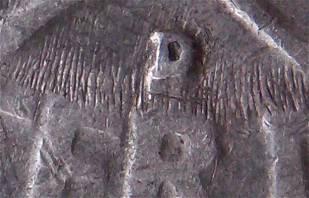 1957-D-Quarter-With-RPM-Over-Horizontal-D?
