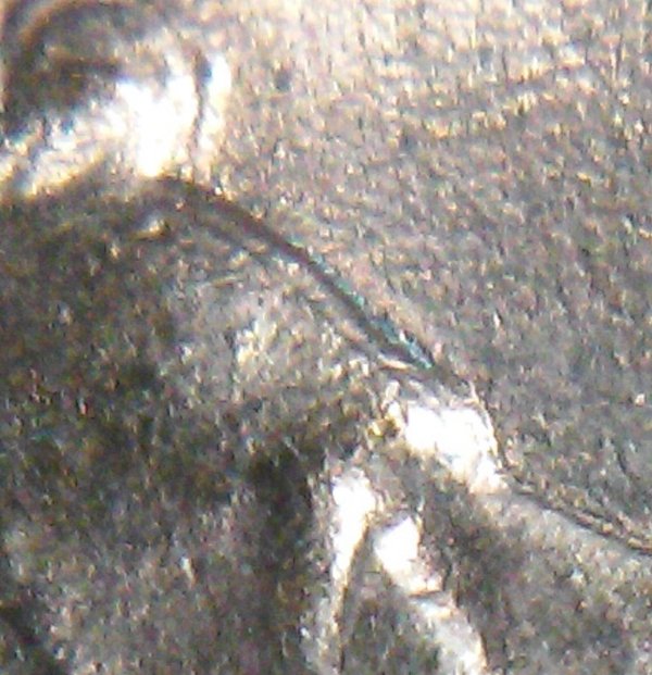 1987-D-LMC-DDO-Front-Of-Head?