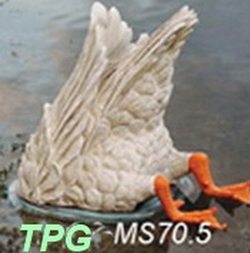 1967-Diving-Goose,-A-Rather-Misleading-Title?