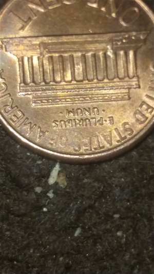 1991-D-Lincoln-Penny...tone-&-Error-Both-Sides-Of-Coin.help!