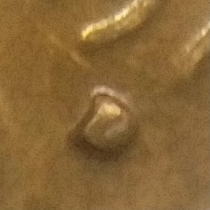 1979-D-Lincoln-Penny.-RPM-?