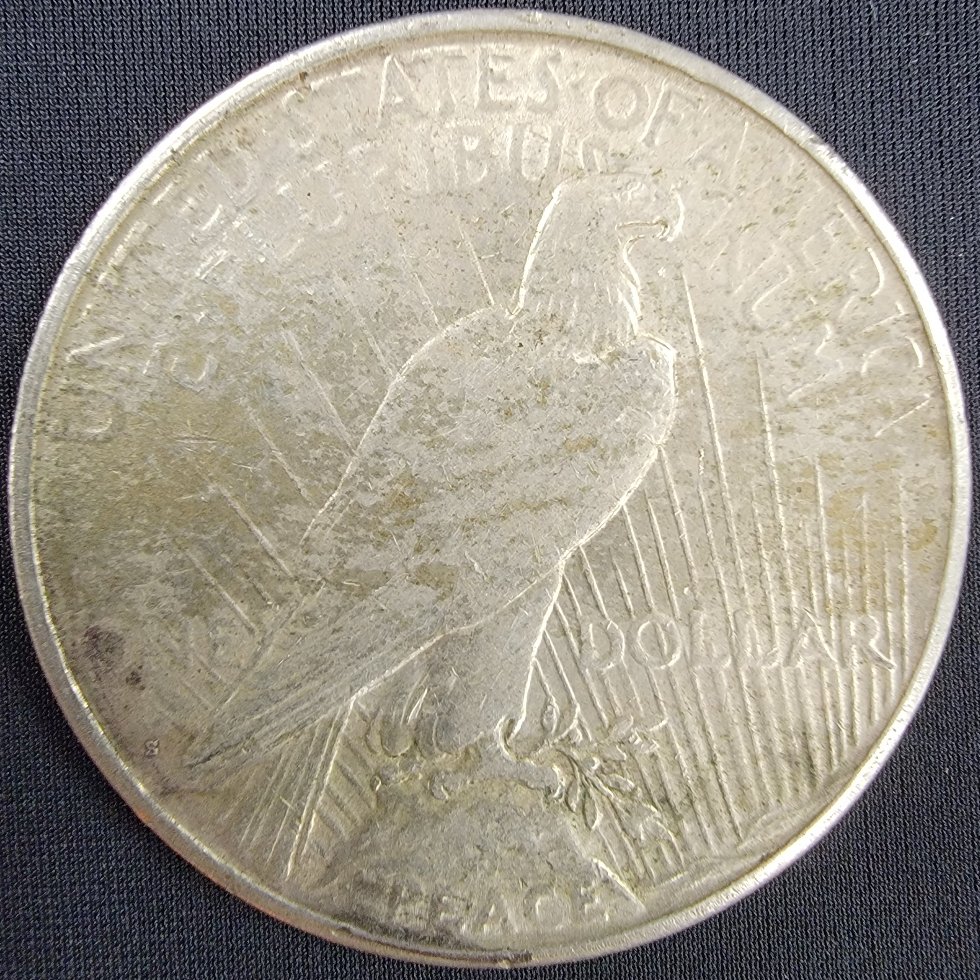 Can-I-Get-Some-Help-Grading-This-1923-Peace-Dollar