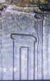 Updated-2020-P-Nickel-Error?-Double-Die?