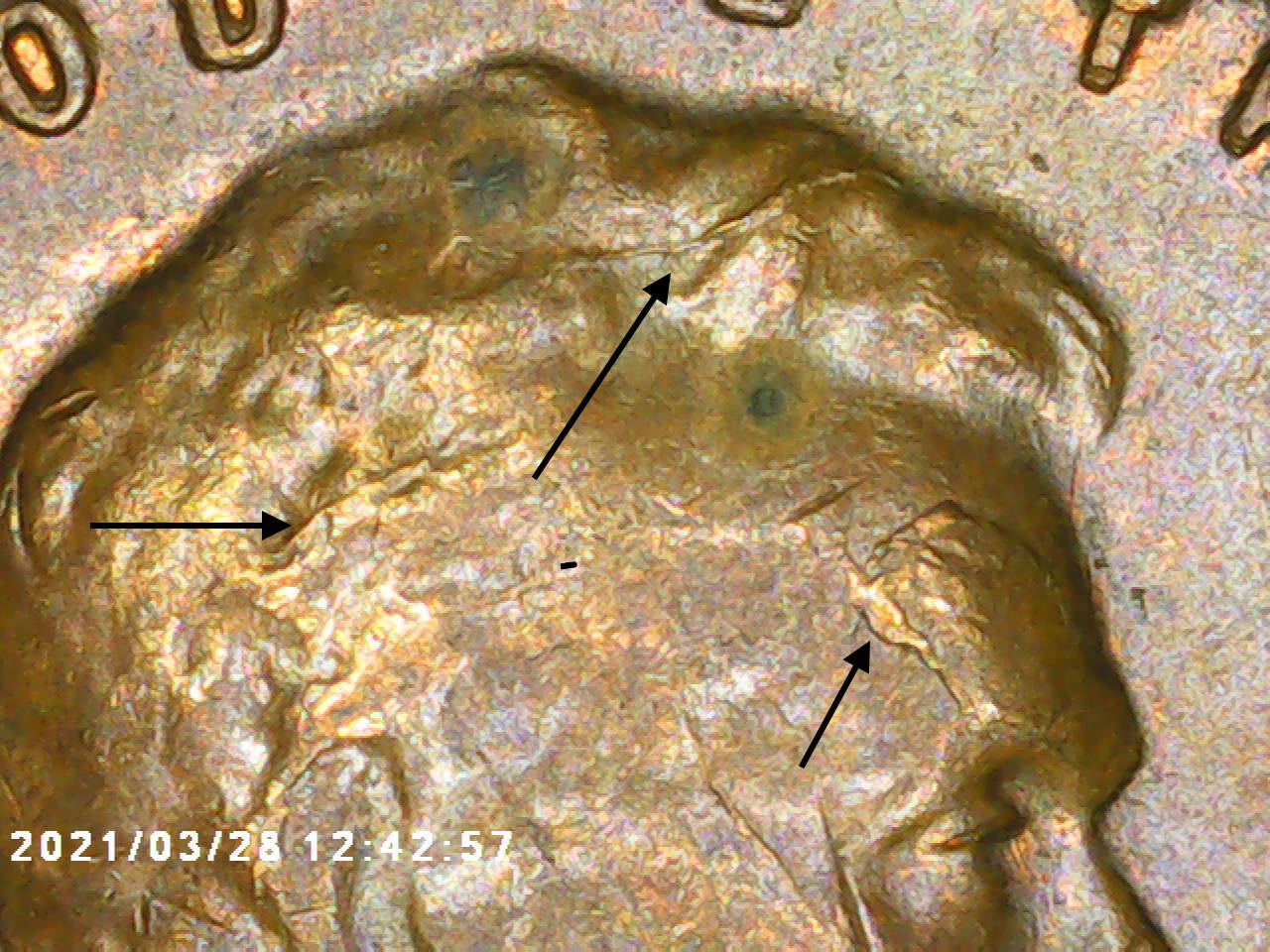 1956-Lincoln-Cent-Cracked-Skull-And-Die-Chip-Extra-Tie