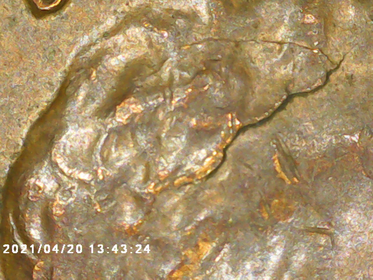1959-LWC-RIDB---Really-Quick-Classification-Question