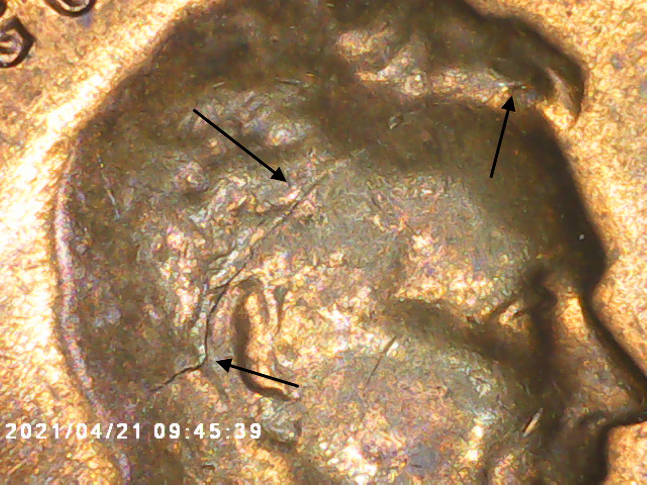 1968-D-Really-Nice-Cracked-Skull