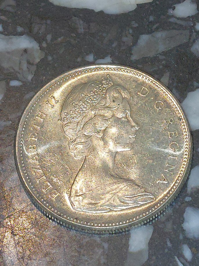 1867-1967-Silver-Dollar-Grading-And-Cleaning?