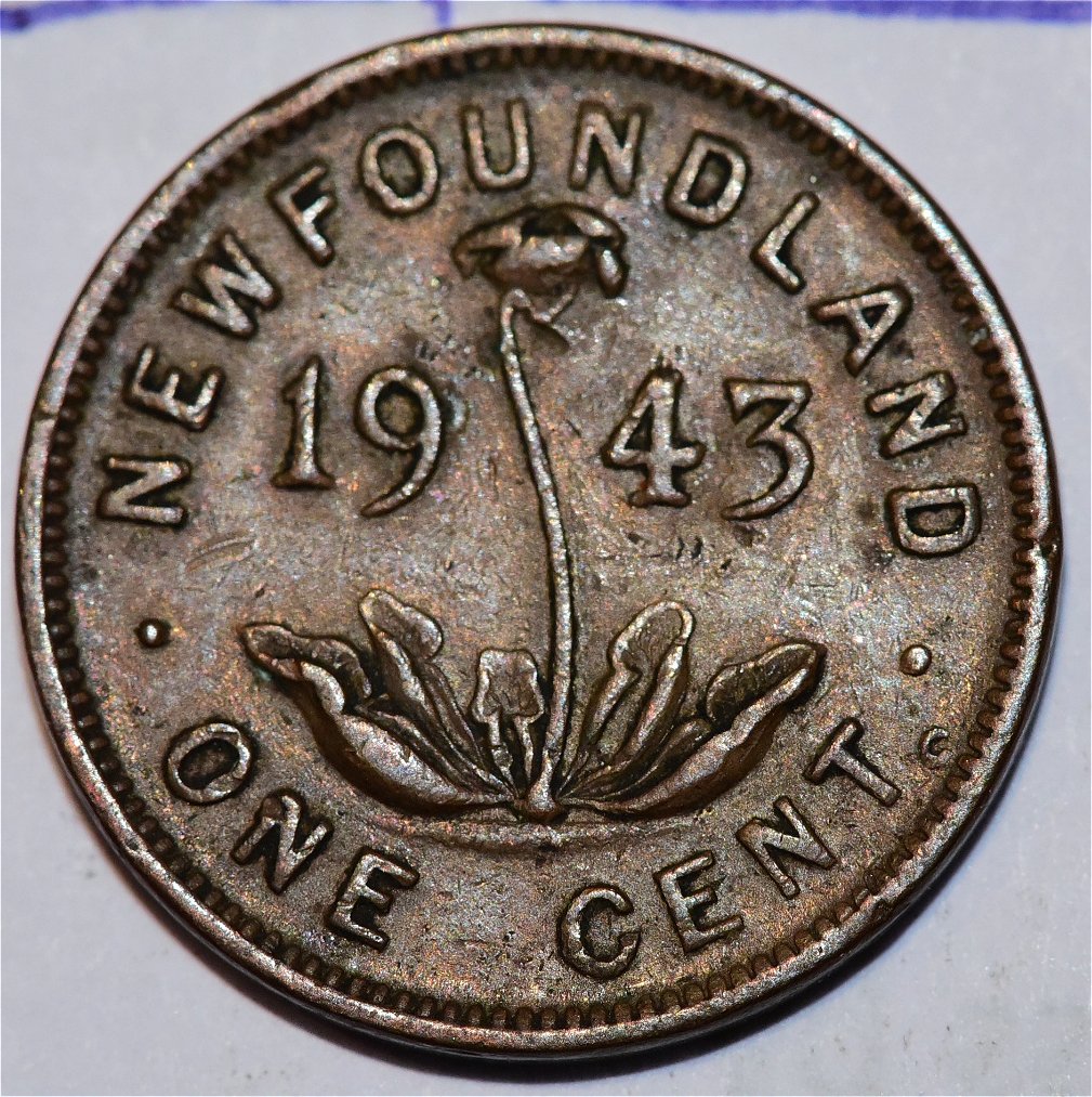 Newfoundland-1943-1-Cent---Help-Grade