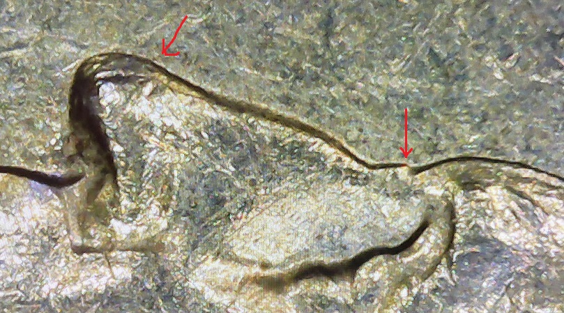 1994-D-Quarter.-Possible-DDO.-Extra-Thickness-Of-Letters/Date,-Tip-Of-Nose,-Extra-Eyebrow?