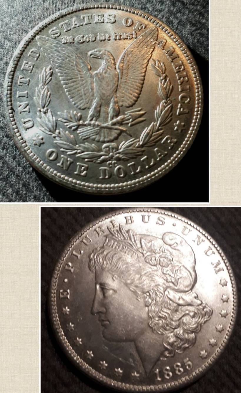 1885-Morgan-Silver-Dollar-CC-What's-It-Worth
