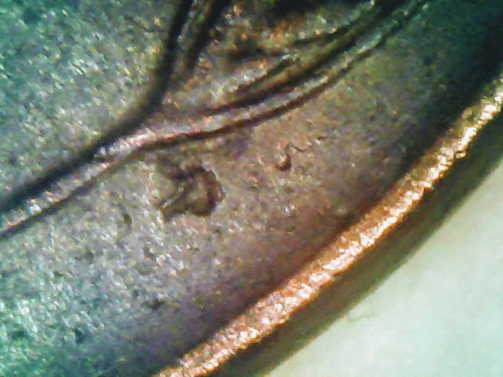 1957-D-Wheat-Penny-Strike-Through?