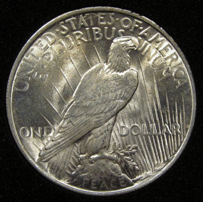 The-11-Days-Of-Peace-Dollars-Part-3