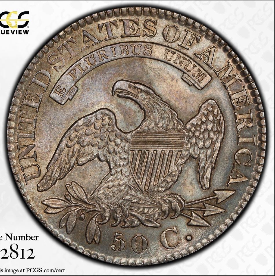 1828-Capped-Bust-Half-Dollar--PCGS-Vs.-You