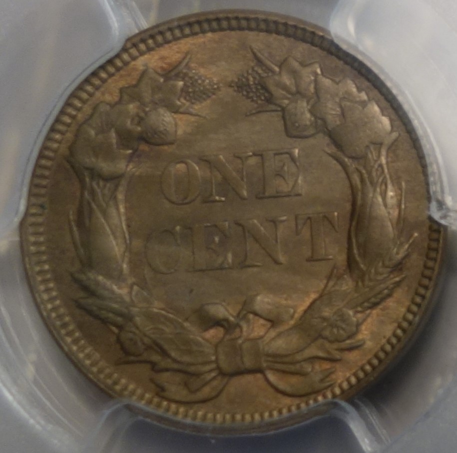1857-Flying-Eagle-Cent-PCGS-Vs-You