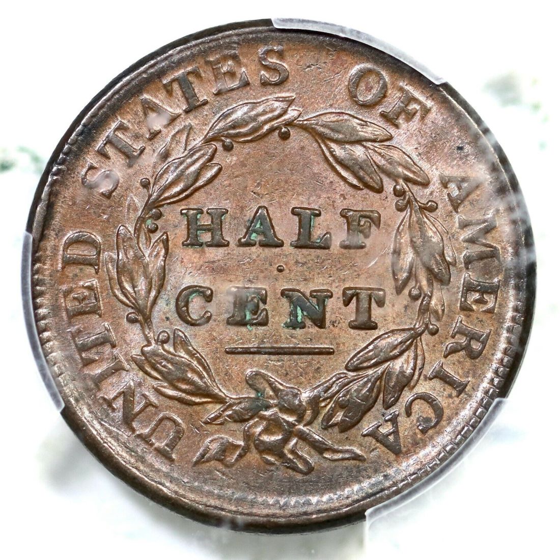 1809-Half-Cent-Not-Mine
