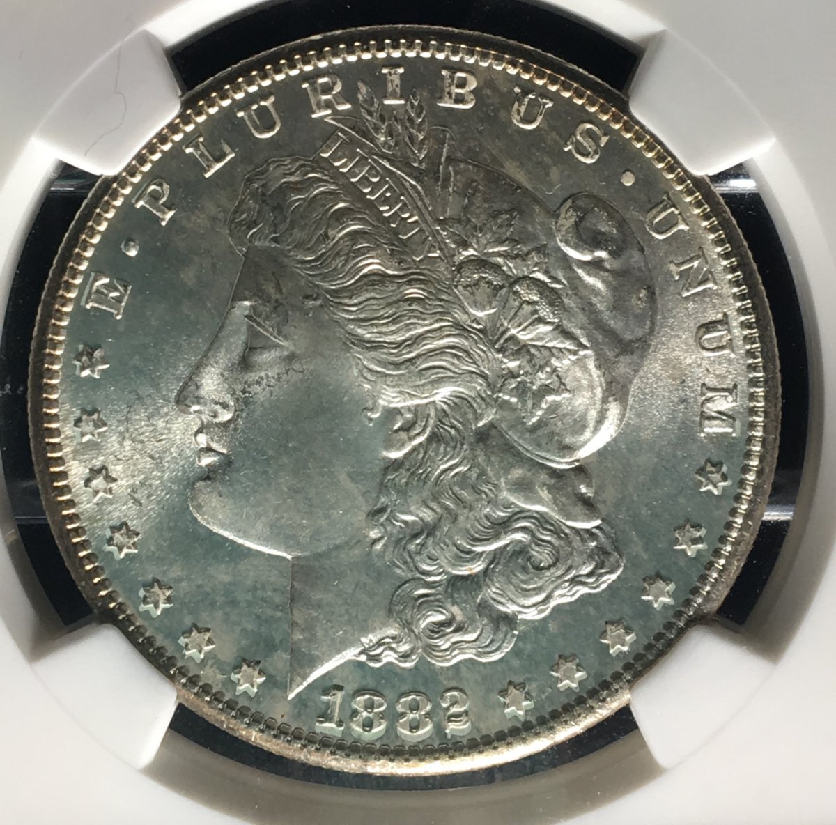 1882-S-Morgan-Silver-Dollar...-You-Vs.-NGC!