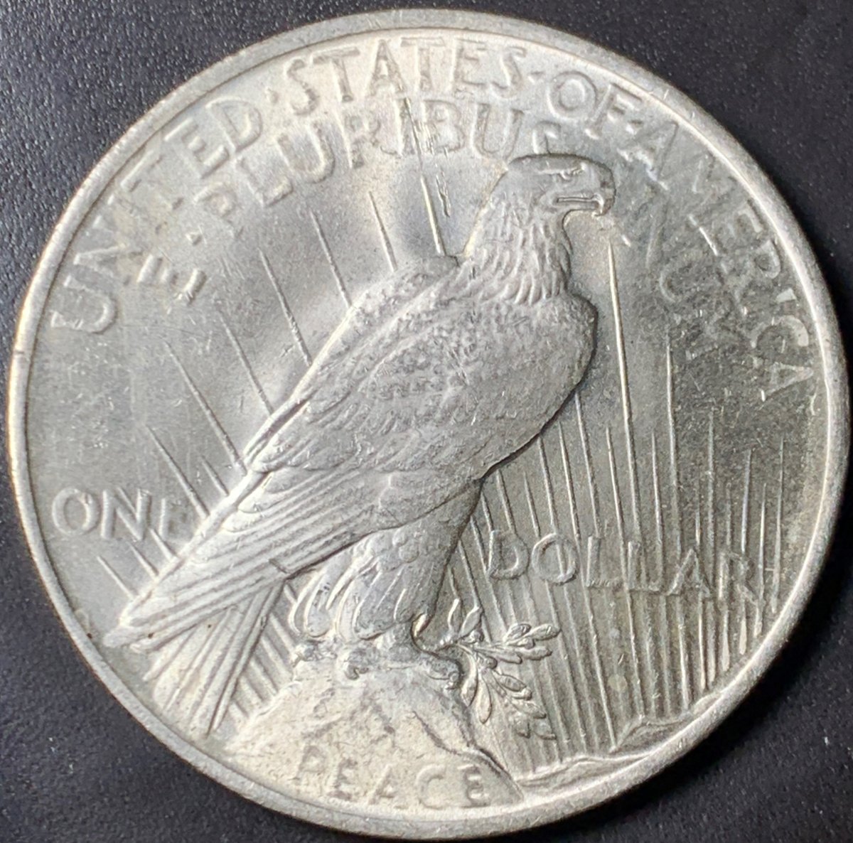 1923-P-Peace-Dollar-For-Your-Consideration