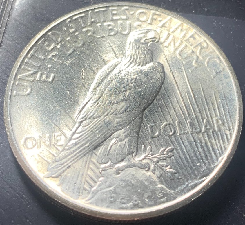 1925-P-Peace-Dollar-For-Grading