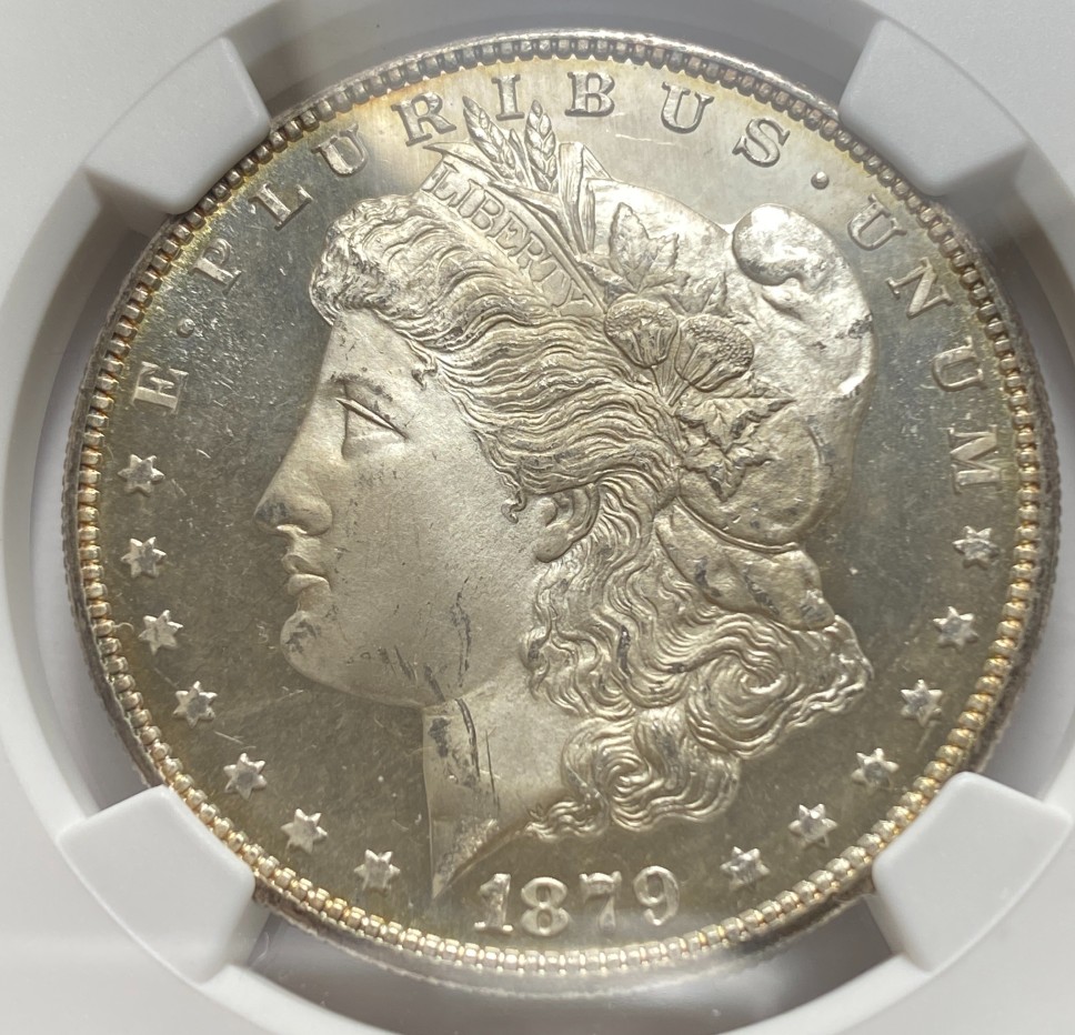 1879-S-Morgan.-You-Vs.-NGC!