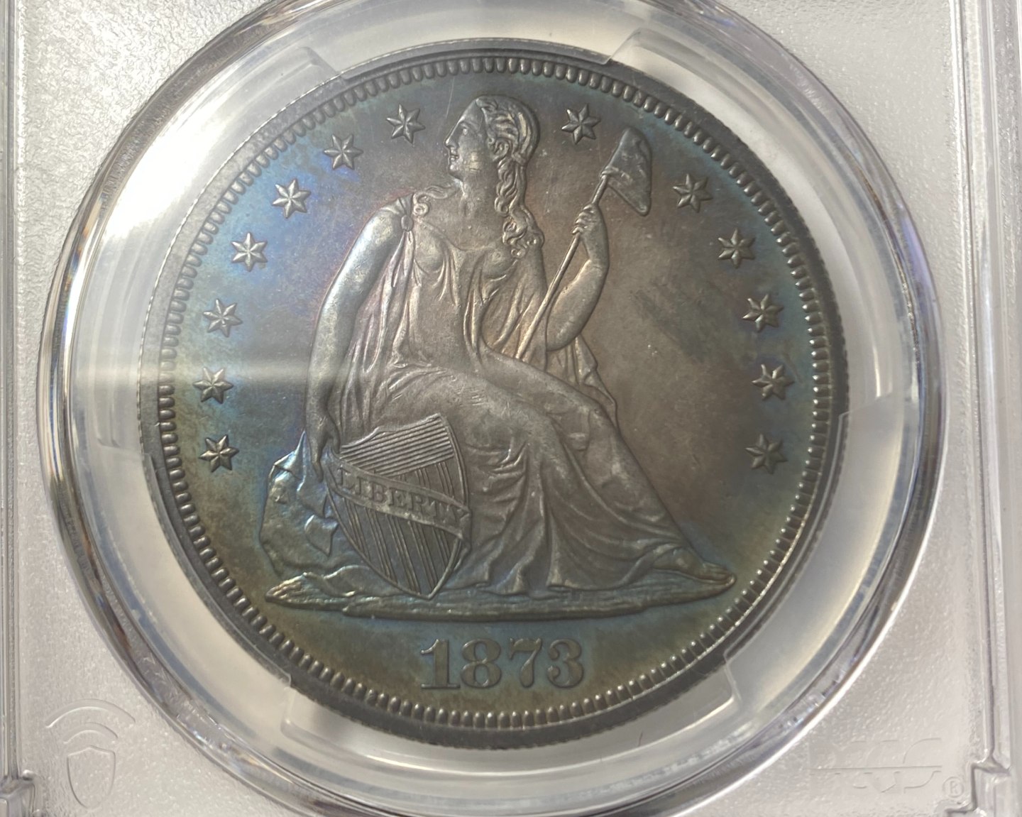 1873-Seated-Liberty-Dollar.-You-Vs.-PCGS!