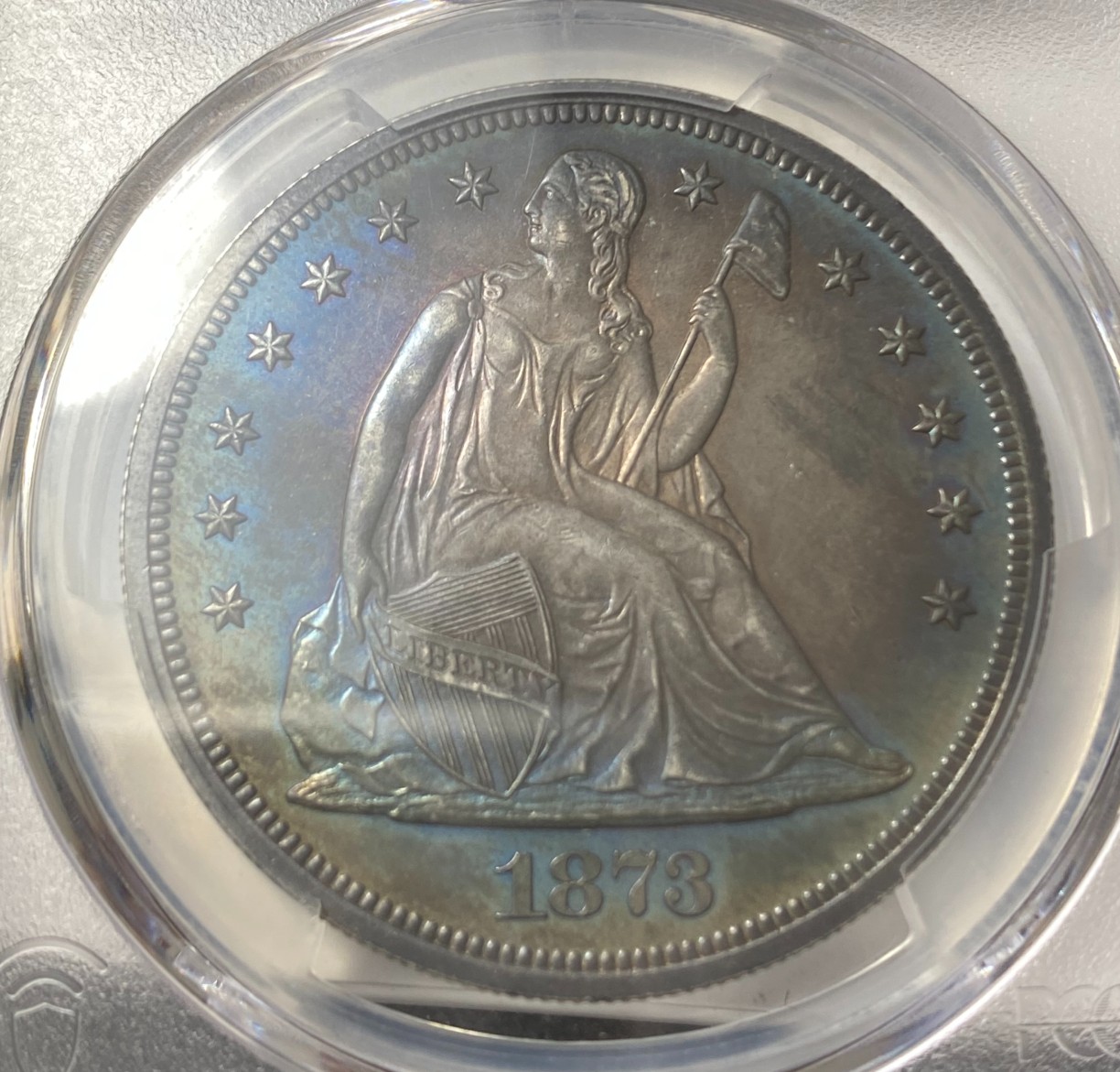 1873-Seated-Liberty-Dollar.-You-Vs.-PCGS!