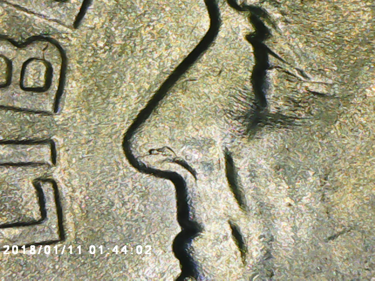 1959-D-Roosevelt-Dime-Die-Break-In-Nostril?