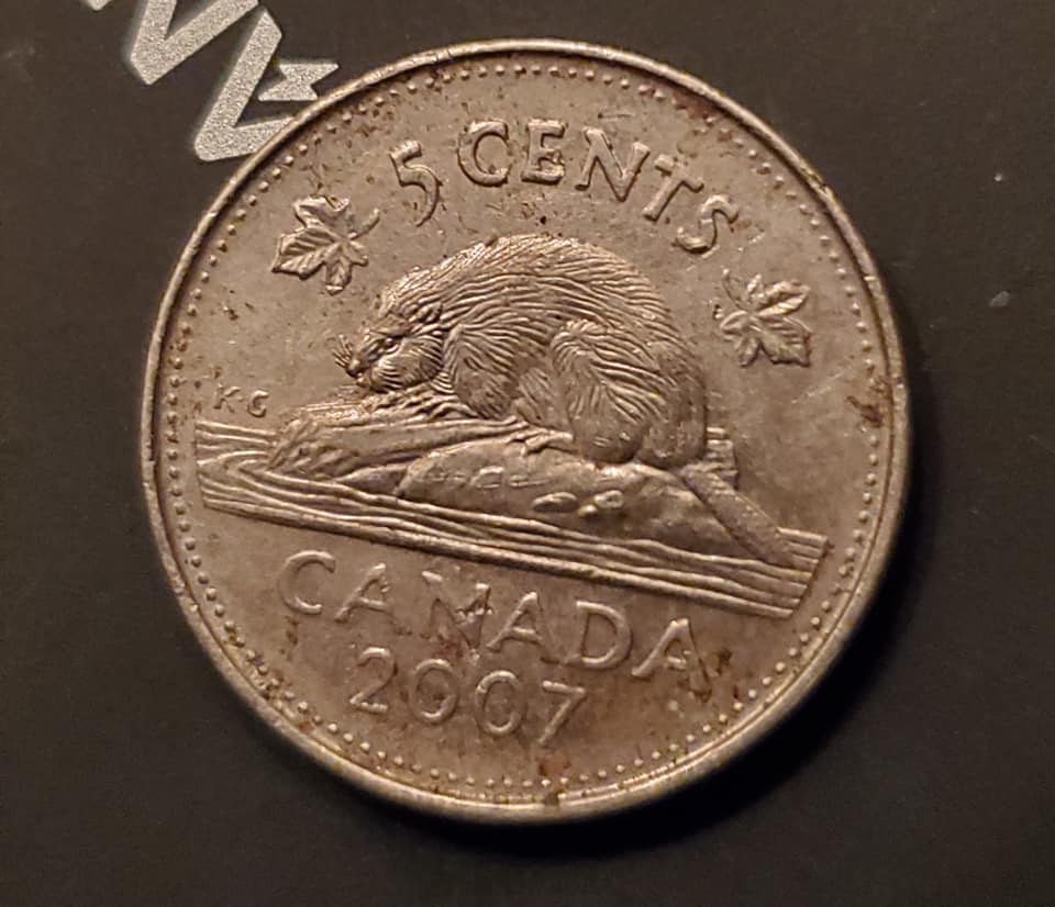 2007-Nickel---Is-This-A-Plating-Error-On-The-Reverse-Beaver?
