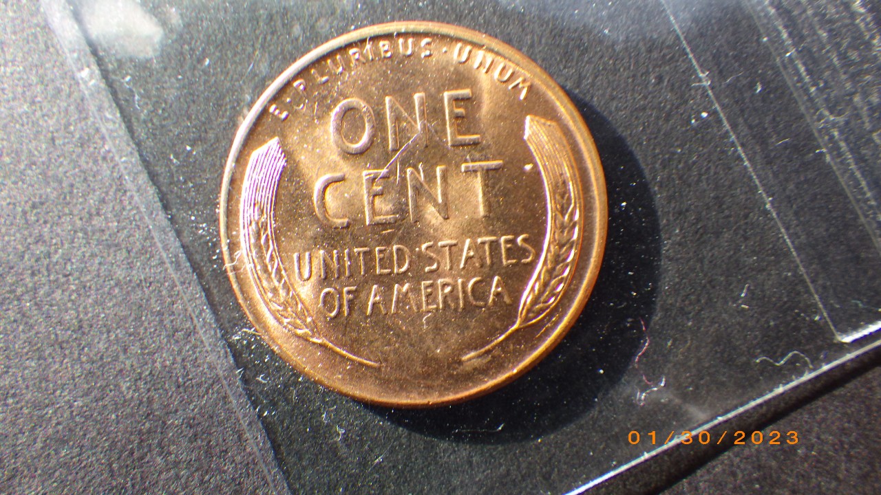 Confused,-1955-D-Silver-Tip-Wheat-Penny