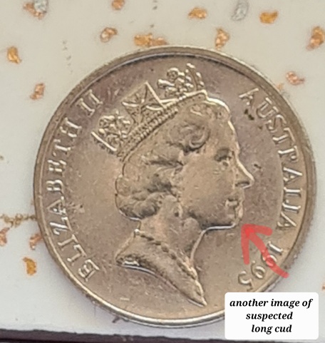 Post-Your-Australian-Circulation-Finds