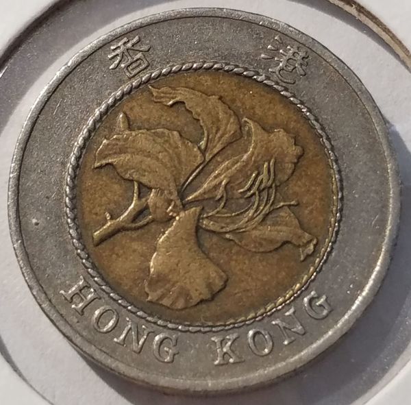 New-Topic-Found-On-Ground