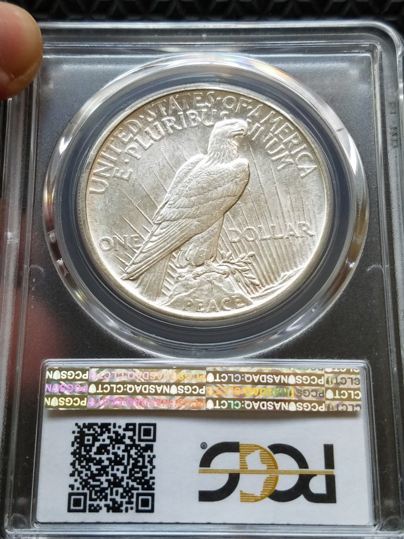 The-11-Days-Of-Peace-Dollars-Part-3