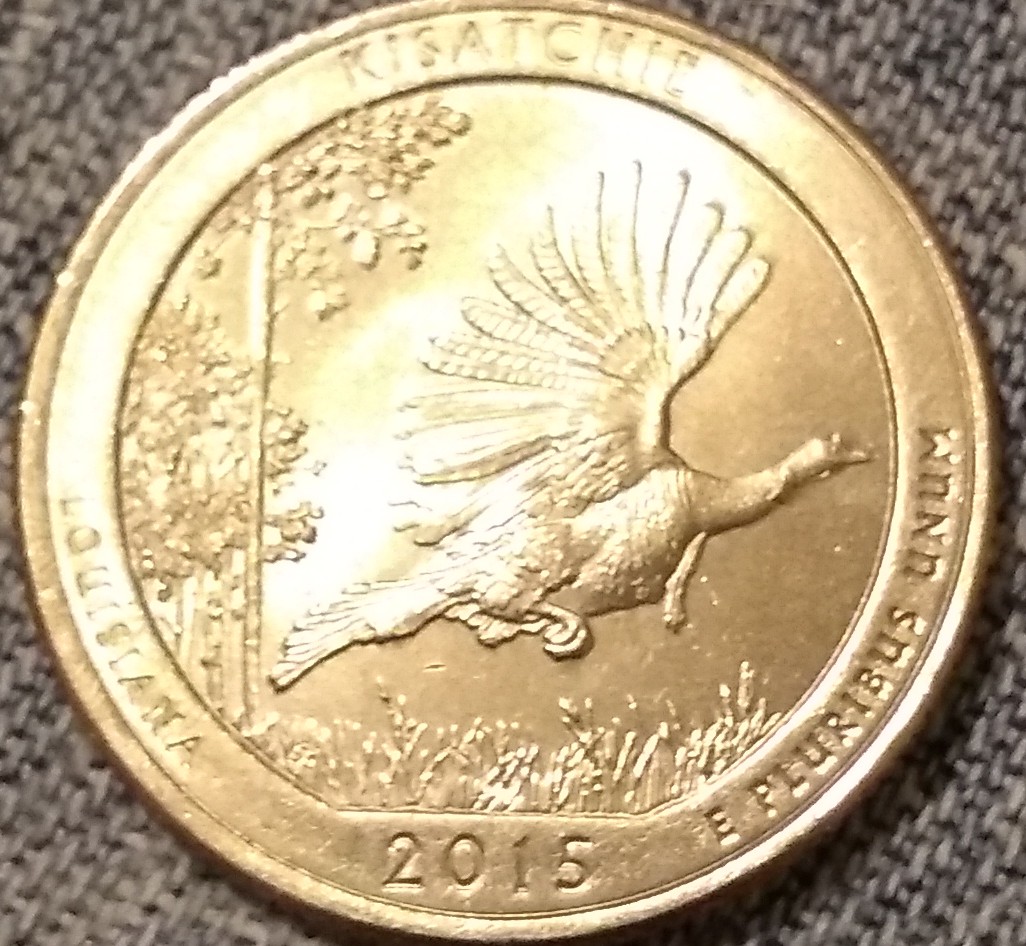 Lamination-?-Struck-Through-?---2015-ATB-Quarter