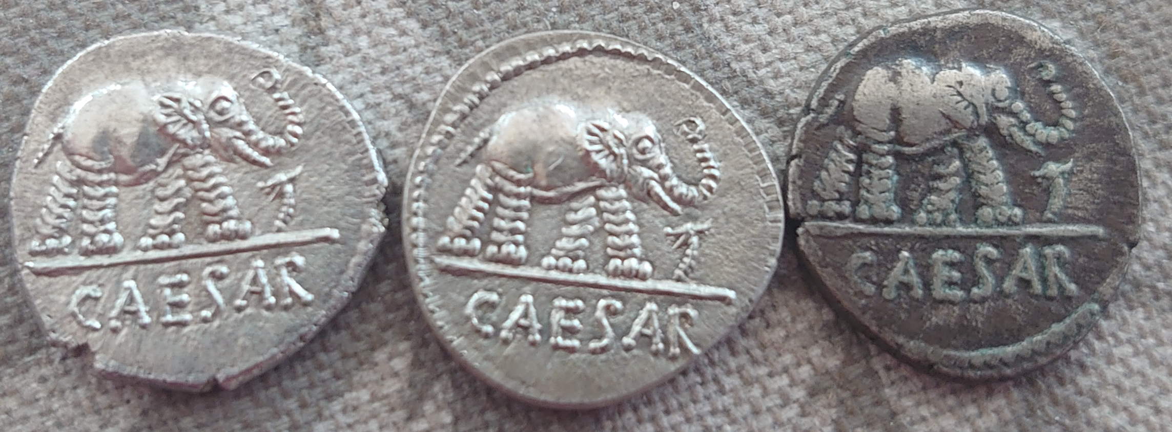 Julius-Caesar-Elephant-49Bc