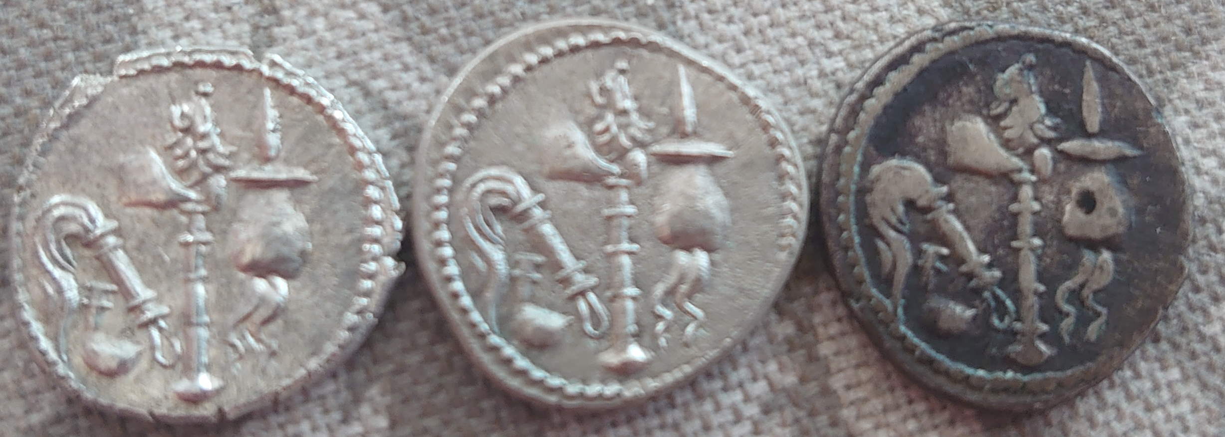 Julius-Caesar-Elephant-49Bc