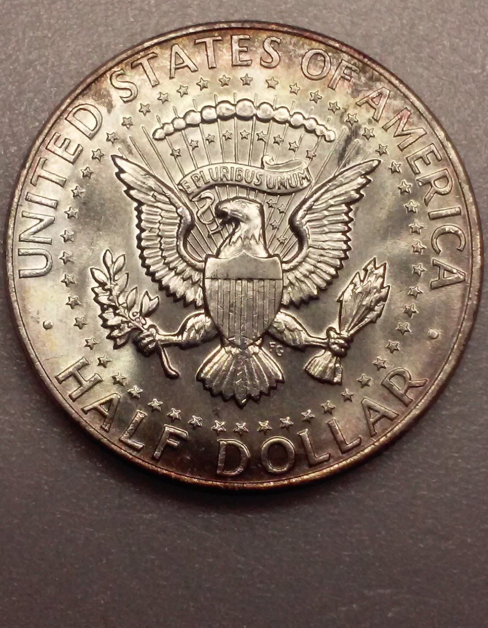 1964-Kennedy-Half-Dollar-For-Grading