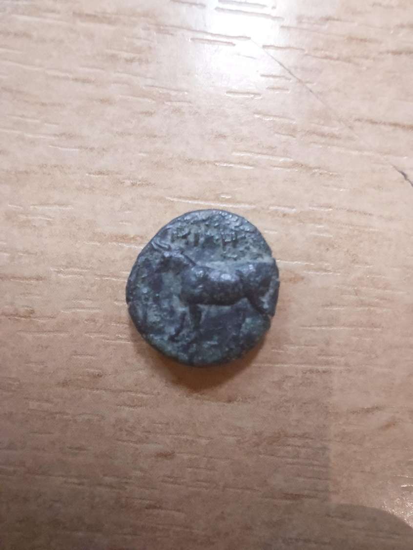 Identification-Of-A-Greek-Bronze-Coin