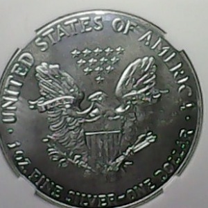 2020-American-Eagle-Silver-Dollar,-What-Do-I-Have